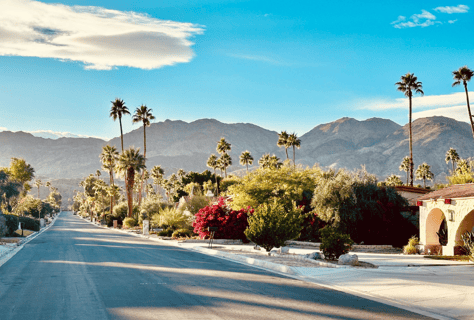 HBBIP Does Coachella: Insights, Top Brands, & More (HBBIP #81)