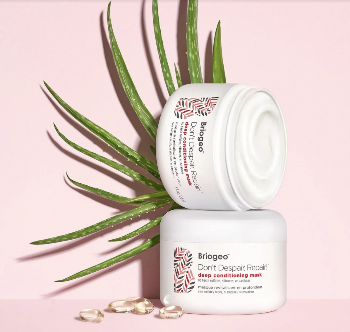 Two tins of the Don’t Despair Repair! Deep Conditioning Mask, a viral TikTok product from Briogeo, with an aloe plant. 