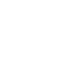 Paid Media