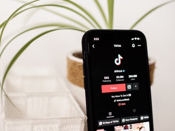 A smartphone open to the TikTok app in front of a plant, by Collabstr via Unsplash.