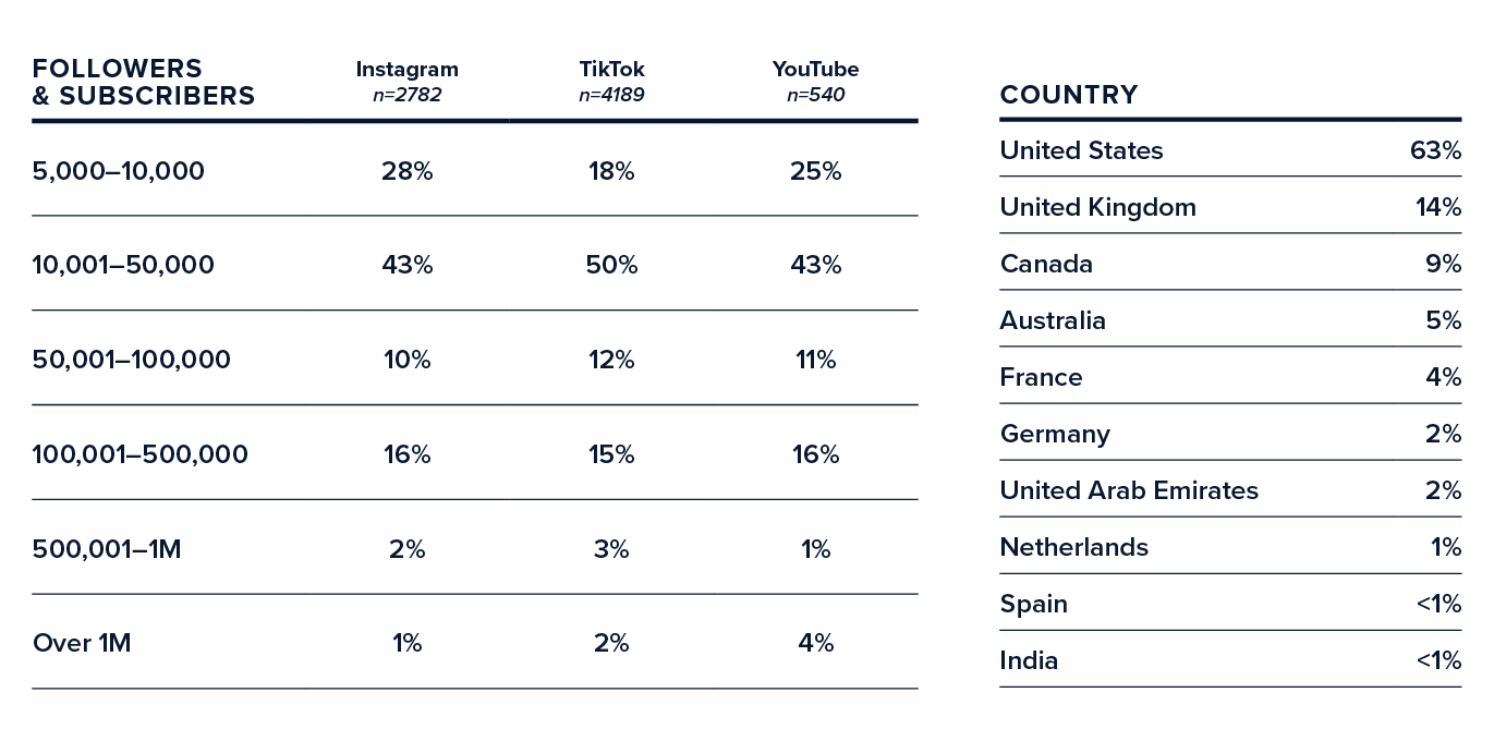 Appendix: respondent breakdown by followers/subscribers per platform and by country